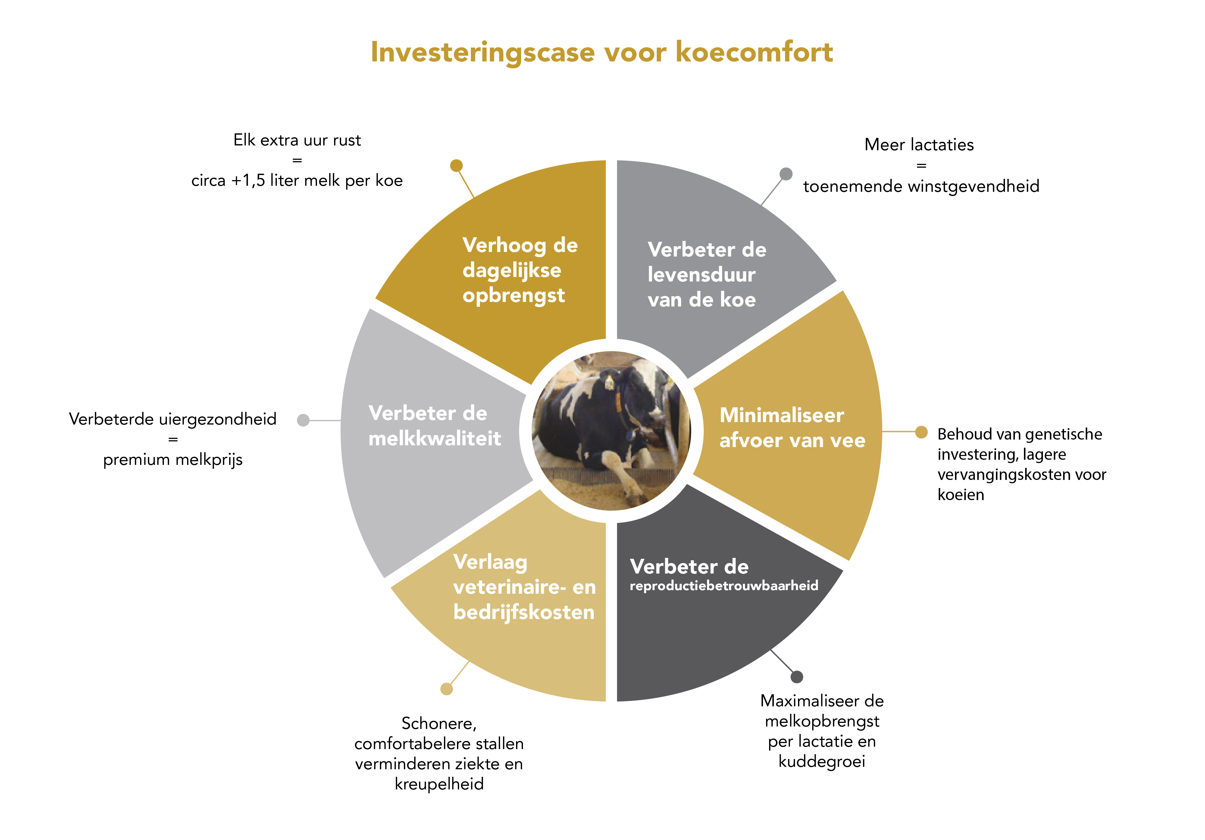 Investment Case for Cow Comfort